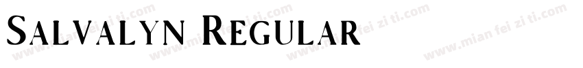Salvalyn Regular字体转换